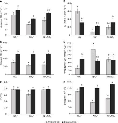 Differential Regulation of Stomatal Conductance as a Strategy to Cope With Ammonium Fertilizer Under Ambient Versus Elevated CO2